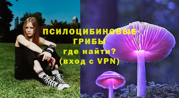 синтетический гашиш Каменка