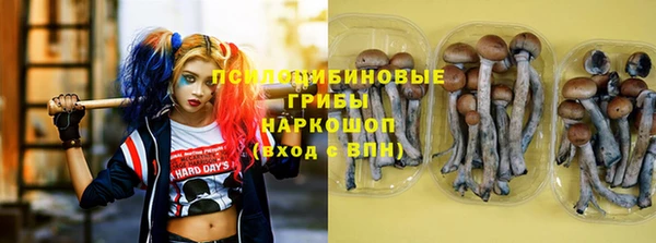 синтетический гашиш Каменка