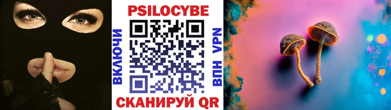 Купить где  Гаврилов-Ям  Псилоцибиновые грибы Cubensis 